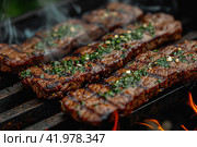 Gaucho cooking the meat on the fire, making the barbecue on the coals, Photos and menus of cafes and restaurants, Magazines. Стоковое AI-изображение, AI-художник Ирина Ручушкина / Фотобанк Лори
