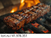Gaucho cooking the meat on the fire, making the barbecue on the coals, Photos and menus of cafes and restaurants, Magazines. Стоковое AI-изображение, AI-художник Ирина Ручушкина / Фотобанк Лори