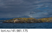 A small rocky island with sparse vegetation in the Beagle Channel. A group of sea lions lies on the cliffs slope. Cormorants fly. Ripples on the blue water. Clouds in the sky. Isla de los lobos. Стоковое фото, фотограф Вера Ивановна Кубарева / Фотобанк Лори