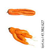 Fresh big red carrot cracked and fancy in shape on a white background. Стоковое фото, фотограф Дмитрий Кобзев / Фотобанк Лори