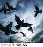 large flock of crows. Стоковое AI-изображение, AI-художник Михаил Коханчиков / Фотобанк Лори