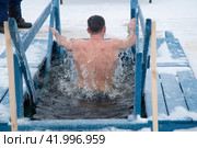 Hardening of the body through water treatments. Swimming in cold water in winter. Walrus swimming. Стоковое фото, фотограф Александр Поташев / Фотобанк Лори