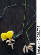 Carp bait. Corn and oparod on the hook. Baiting fish on fishing. Close-up, selective focus, Top view. Стоковое фото, фотограф Оксана Медведева / Фотобанк Лори