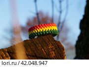 Paracord bracelet. Стоковое фото, фотограф Артем Лукин / Фотобанк Лори