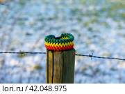 Paracord bracelet. Стоковое фото, фотограф Артем Лукин / Фотобанк Лори
