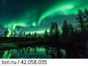 Северное сияние, отражающееся в воде. Стоковое фото, фотограф Данил Хусаинов / Фотобанк Лори