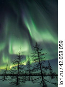 Northern lights reflected in the water. Стоковое фото, фотограф Данил Хусаинов / Фотобанк Лори