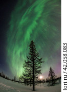 Northern lights reflected in the water. Стоковое фото, фотограф Данил Хусаинов / Фотобанк Лори