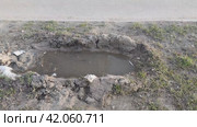 Лужа воды в канаве. В вязкой земле остался глубокий след от колеса машины. В яме скопилась мутная вода поверхность которой колышется на ветру. От воды отражается небо. Стоковое видео, видеограф Andrew_Swarga / Фотобанк Лори
