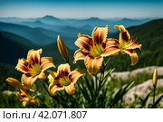 Generative Ai illustration of daylily flowers at mountains backgrounds. Nature wallpaper concept. Cartoon illustration. Copy ad text space. Стоковое AI-изображение, AI-художник Aleksandr Golubev / Фотобанк Лори