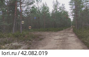 Большие мыльные пузыри над лесной дорогой. Над песчаной дорогой, по краям которой растут молодые сосны, летают несколько крупных мыльных пузырей. Пролетев некоторое время в воздухе, пузыри лопнули. Стоковое видео, видеограф Andrew_Swarga / Фотобанк Лори