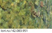 Vertical video of water and stones of Altai river Bashkaus. The camera looks down and moves along the river. Стоковое видео, видеограф Сергей Пристяжнюк (Serg Zastavkin) / Фотобанк Лори