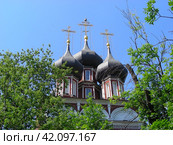 Храм Ризоположения на Донской. Донская улица, 20/6, строение 1. Москва (2011 год). Стоковое фото, фотограф lana1501 / Фотобанк Лори