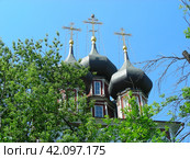 Храм Ризоположения на Донской. Донская улица, 20/6, строение 1. Москва (2011 год). Стоковое фото, фотограф lana1501 / Фотобанк Лори
