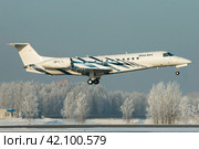 Частный самолет Embraer Legacy 600 оператора Sirius-Aero Ltd заходит на посадку в аэропорту Пулково зимой, на фоне покрытого белым инеем леса (2019 год). Редакционное фото, фотограф Сергей Крамарев / Фотобанк Лори