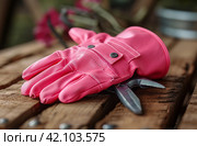 reversible pink gardening gloves and pliers on wooden table with wood background. Стоковое AI-изображение, AI-художник Юлия Гапеенко / Фотобанк Лори