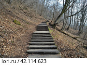Terrencourt consists of many steps and is called “1000 steps” in early spring, it leads to Mount Bolshaya Kizilovka, and is one of hallmarks of Nalchik resort, Kabardino-Balkarian Republic, Russia (2023 год). Стоковое фото, фотограф Алексей Антипов / Фотобанк Лори
