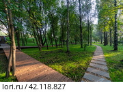 Москва. Парк «Берег реки Сходни», дорожки (2019 год). Стоковое фото, фотограф Александр К / Фотобанк Лори