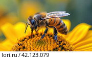The honey bee collects nectar from a yellow wildflower in hot summer. Macro sketching of insects. Стоковое AI-изображение, AI-художник Ярославский Максим / Фотобанк Лори