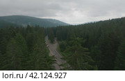 Aerial footage of cyclists on forest road. Стоковое видео, видеограф Данил Руденко / Фотобанк Лори