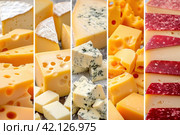 Collage of different types of cheese with vertical dividers. Стоковое AI-изображение, AI-художник Юрий Поздников / Фотобанк Лори