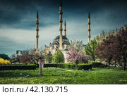 Мечеть Сердце Чечни весной (2021 год). Редакционное фото, фотограф Jon Maldini / Фотобанк Лори