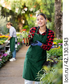 Smiling salesgirl offering potted Chlorophytum comosum in greenhouse. Стоковое фото, фотограф Яков Филимонов / Фотобанк Лори