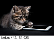 Cute kitten with mobile phone. Стоковое AI-изображение, AI-художник Татьяна  Бральнина / Фотобанк Лори