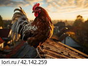 Rooster crowing on top of a roof at dawn. Morning concept, rise and shine. Стоковое AI-изображение, AI-художник Ирина Михайличенко / Фотобанк Лори