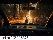 View from the inside of a car, deer standing in the middle of the road, illuminated by the car headlights. Danger of hitting deer with a car. Стоковое AI-изображение, AI-художник Ирина Михайличенко / Фотобанк Лори