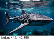Whale shark (Rhincodon typus) mammal swimming in tropical underwaters. Shark in underwater wild animal world. Observation of wildlife ocean. Scuba diving adventure in Ecuador coast. Copy text space. Стоковое AI-изображение, AI-художник Aleksandr Golubev / Фотобанк Лори