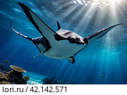 Manta Mobula (Mobulidae) cartilaginous fish swimming in tropical underwaters. Manta in underwater wild animal world. Observation of wildlife ocean. Scuba diving adventure in Ecuador coast. Стоковое AI-изображение, AI-художник Aleksandr Golubev / Фотобанк Лори