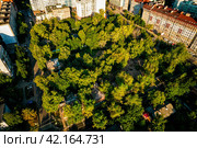 Квартал города с малоэтажной застройкой, утопающий в зелени (2021 год). Редакционное фото, фотограф Илья Старков / Фотобанк Лори