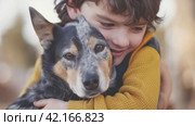A child affectionately hugs his blue heeler pet dog. With large copyspace area. Стоковое AI-изображение, AI-художник Юлия Гапеенко / Фотобанк Лори