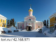 Собор Троицы Живоначальной в Троице-Одигитриевской Зосимовой женской пустыни. Зима (2024 год) Стоковое фото, фотограф Юрий Кирсанов / Фотобанк Лори