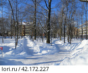 Солнечный день зимой.Городской парк покрыт снегом.Расчищенные от снега дорожки идут вдоль аллей парка.В сугробе стоит лопата с красной ручкой.Столбово. Коммунарка. Москва. Россия (2024 год). Редакционное фото, фотограф Мария Фетисова / Фотобанк Лори