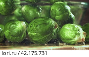 Brussels sprouts fall on the table. Filmed on a high-speed camera at 1000 fps. Стоковое видео, видеограф Артем Шадрин / Фотобанк Лори