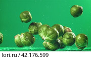 Brussels sprouts fall on the table. Filmed on a high-speed camera at 1000 fps. Стоковое видео, видеограф Артем Шадрин / Фотобанк Лори