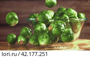 Brussels sprouts fall on the table. Filmed on a high-speed camera at 1000 fps. Стоковое видео, видеограф Артем Шадрин / Фотобанк Лори