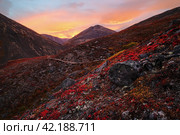 Colorful autumn mountain landscape. Amazing arctic nature. Sunset in the mountains in the Extreme North. Beautiful landscape of Chukotka. Iskaten Ridge, Chukotka, Siberia, Far East of Russia. Arctic. Стоковое фото, фотограф Андрей Степанов / Фотобанк Лори