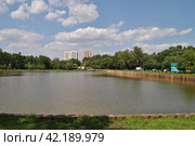 Нижний Афонинский пруд. Парк Зюзино. Город Москва (2014 год). Стоковое фото, фотограф lana1501 / Фотобанк Лори