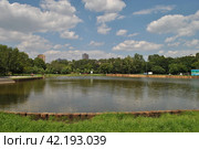 Нижний Афонинский пруд. Район Зюзино. Город Москва (2014 год). Стоковое фото, фотограф lana1501 / Фотобанк Лори