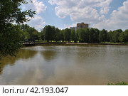 Нижний Афонинский пруд. Район Зюзино. Город Москва (2014 год). Стоковое фото, фотограф lana1501 / Фотобанк Лори