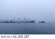Буксиры заводят к причалу Большой морозильный рыболовный траулер "SUNFISH" (2022 год). Редакционное фото, фотограф Free Wind / Фотобанк Лори