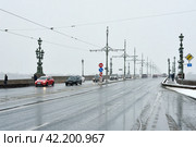 Ненастная погода в Санкт-Петербурге. Мокрый снег с дождем. Троицкий мост через Неву (2017 год). Стоковое фото, фотограф Александр Алексеев / Фотобанк Лори