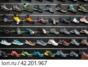 On black wooden wall of showcase - there are samples of models of hiking and climbing shoes (2023 год). Редакционное фото, фотограф Яков Филимонов / Фотобанк Лори