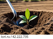 Young tree sapling lies at dug hole next to shovel and is ready to plant in ground. Background for gentrification of territory. Concept of landscaping, nature, environment and ecology. Copy space. Стоковое AI-изображение, AI-художник Aleksandr Golubev / Фотобанк Лори