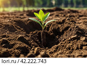 Young tree sapling lies at dug hole next to shovel and is ready to plant in ground. Background for gentrification of territory. Concept of landscaping, nature, environment and ecology. Copy space. Стоковое AI-изображение, AI-художник Aleksandr Golubev / Фотобанк Лори