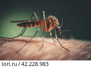 Mosquito skin bite. Generate Ai. Стоковое AI-изображение, AI-художник Иван Рябоконь / Фотобанк Лори