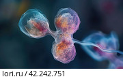Cell division process, micro. Стоковое AI-изображение, AI-художник Кирилл Черезов / Фотобанк Лори